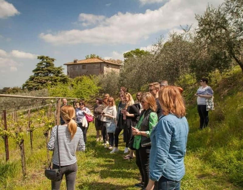From Rome: Small Group Frascati Wine Tasting and Food Tour - A Journey into Frascati’s Charm and Flavors