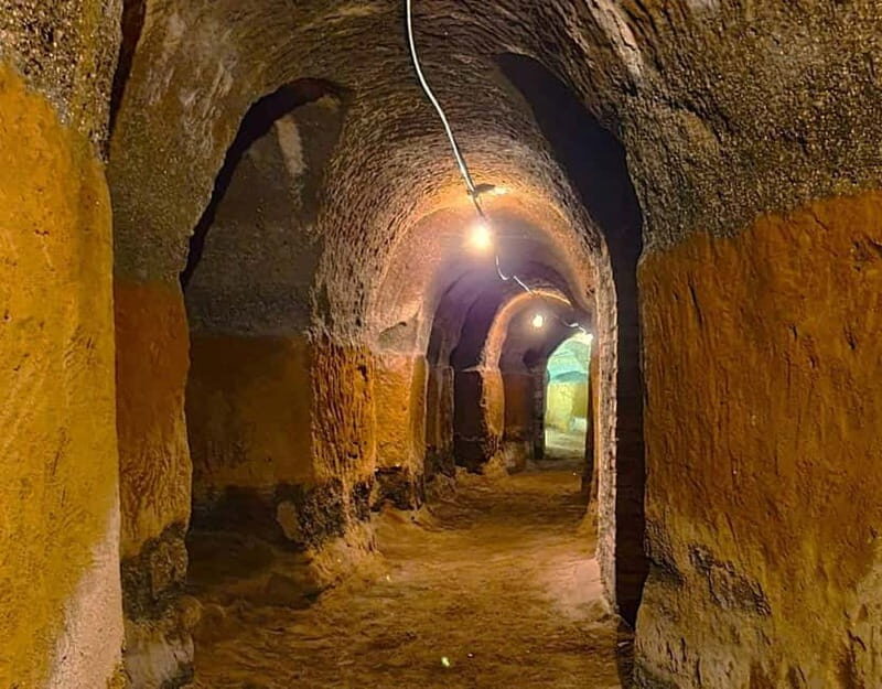 From Rome: Small Group Frascati Wine Tasting and Food Tour - Who Should Consider This Experience?
