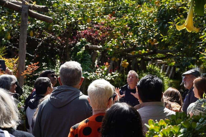 From Rome: Sorrento & Pompeii Day Trip with Guide or Ticket - The Value of the Tour: Is It Worth It?