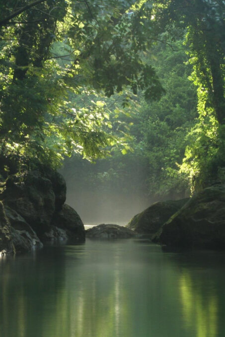 From Rome to Marmore Waterfall Full Day Private Experience - Travel Tips for the Journey