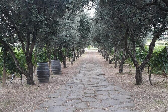 From Rome to the Castles: Private 3-Hour Wine Tasting Tour - FAQ