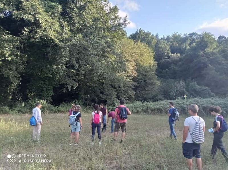 From Rome: Trekking to Cesano's Woods with Lunch - Key Points  