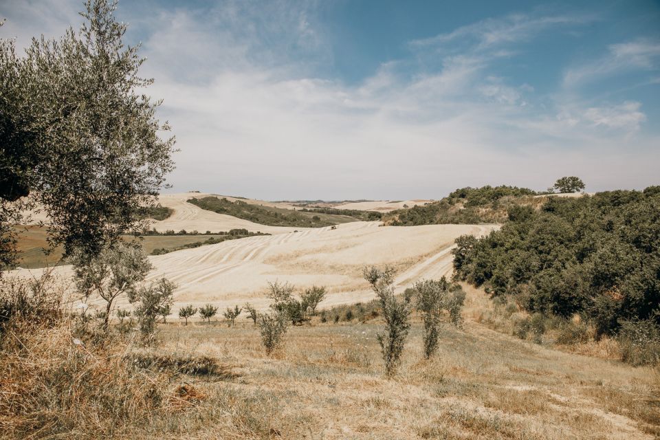 From Rome: Tuscan Medieval Towns & Winery Tour With Lunch - Inclusions and Exclusions