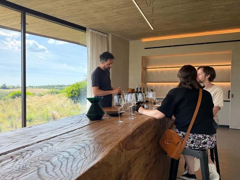 From Rome: Tuscany Day Trip with Lunch and Wine Tastings - Transportation & Group Size: Why It Matters
