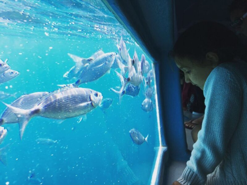 From Roses: Cap Norfeu Boat Cruise & Swimming - The Sum Up