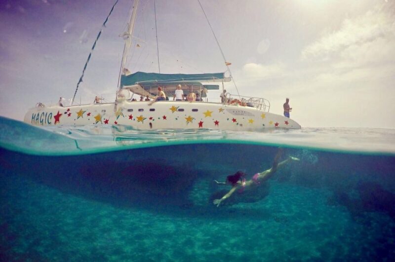 From Roses: Catamaran Cruise to Cap De Creus - Inclusions and Amenities