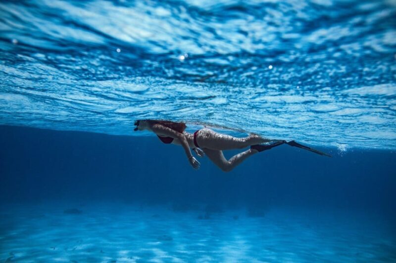 From Roses:Adventure in Cap de Creus: Discover and Swim in a Wild Cove - The Itinerary: What Makes Each Stop Special