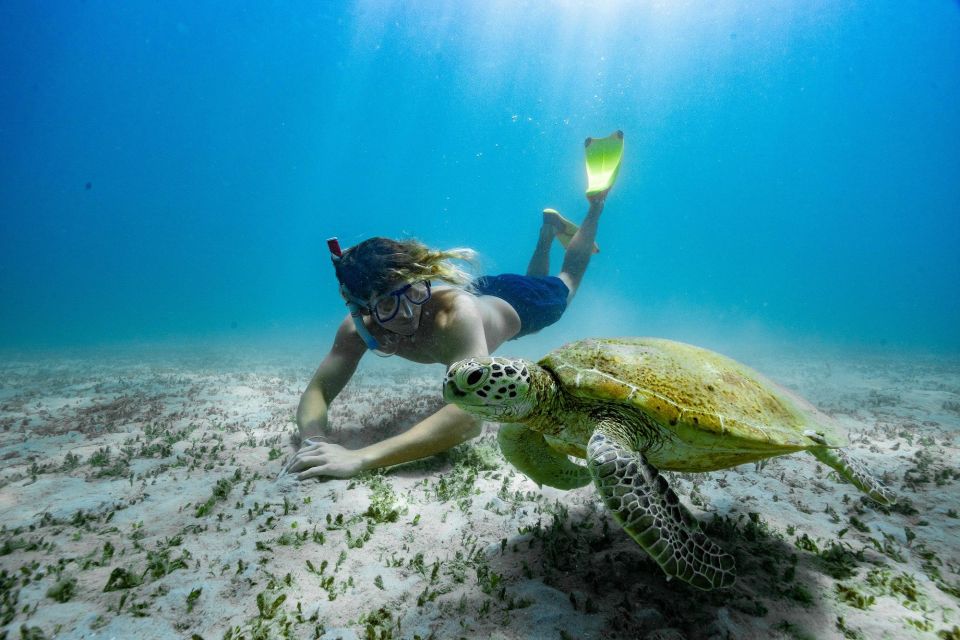 From Rosslyn: Great Keppel Island Adventure Tour With Lunch - Experience