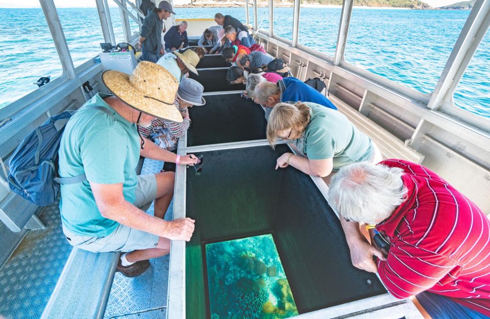 From Rosslyn: Great Keppel Island Adventure Tour With Lunch - Recap
