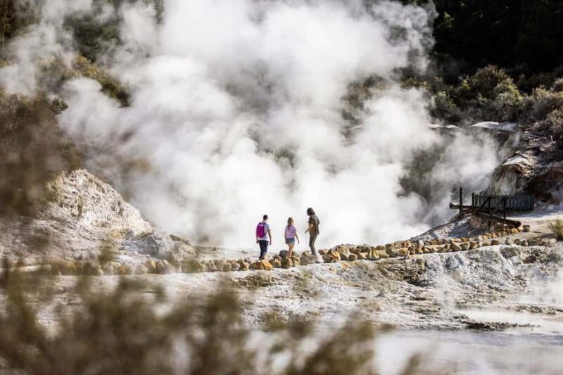 From Rotorua: HELL's GATE Geothermal MUD BATH Half Day Tour - A Deep Dive into the Hell’s Gate Geothermal Experience