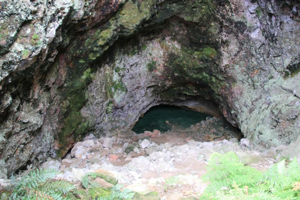 From Rotorua: Taupo Day Trip With Orakei Korako or Waiotapu - Customer Reviews