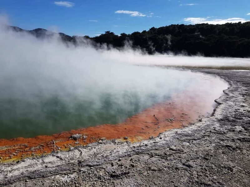 From Rotorua: Wai O Tapu & Waimangu Eco Thermal Morning Tour - An In-Depth Look at the Rotorua Geothermal Tour