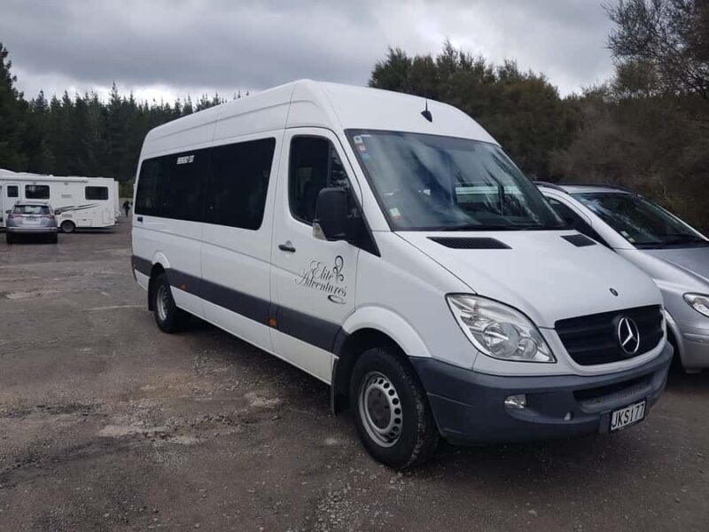 From Rotorua: Wai O Tapu & Waimangu Eco Thermal Morning Tour - An Honest Look at the Practicalities