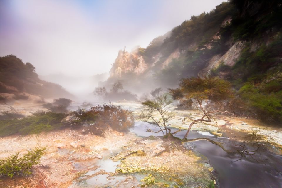 From Rotorua: Wai O Tapu & Waimangu Eco Thermal Morning Tour - Key Points