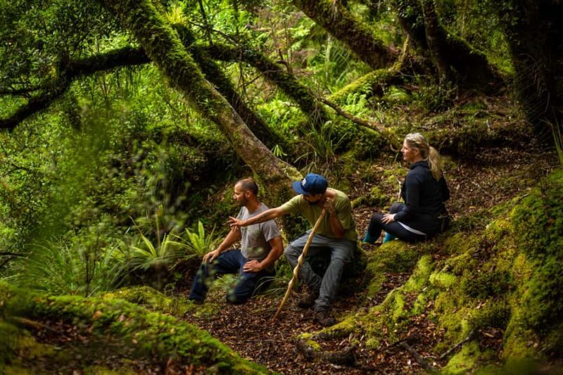 From Rotorua: Whirinaki Rainforest Guided Cultural Tour - Final Thoughts