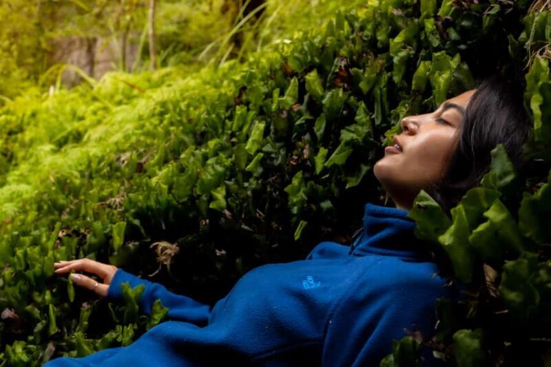 From Rotorua: Whirinaki Rainforest Guided Cultural Tour - FAQ