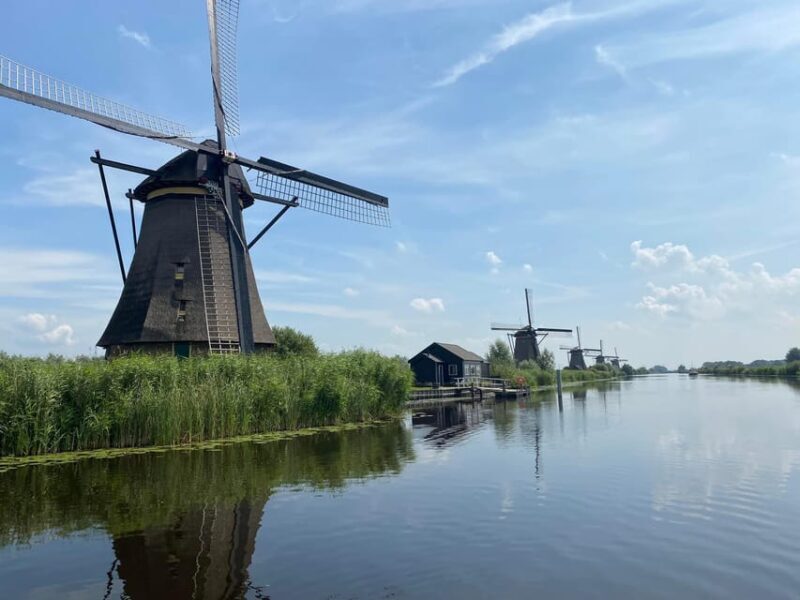 From Rotterdam: Kinderdijk, Delft & The Hague Private Tour - Who will love this tour?  