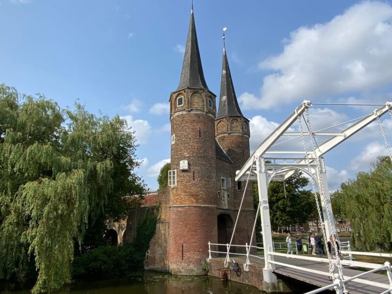 From Rotterdam: Kinderdijk, Delft & The Hague Private Tour - Authentic Experiences and Practical Tips