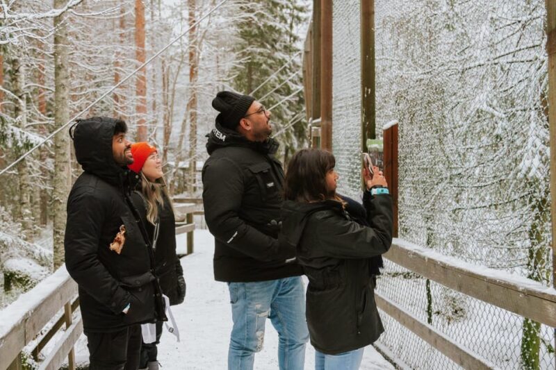 From Rovaniemi: Family Friendly Visit to Ranua Wildlife Park - Key Points