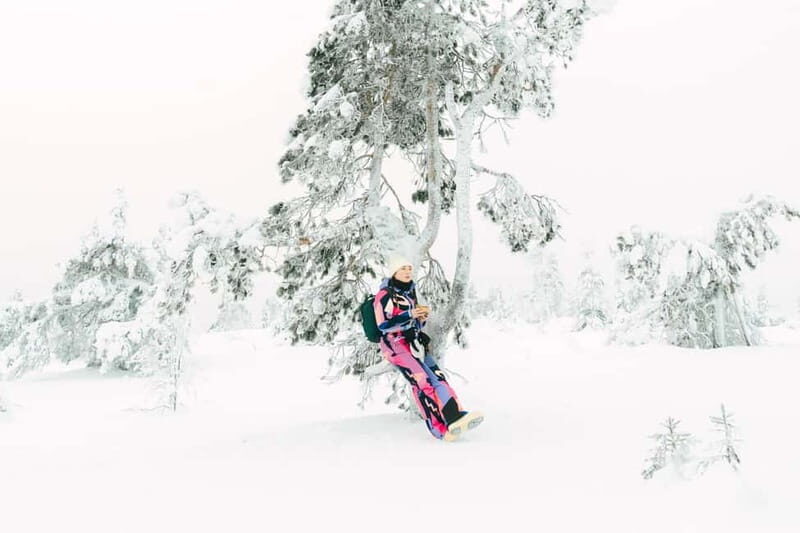 From Rovaniemi: Frozen Wonderland Riisitunturi Winter Hike - Key Points
