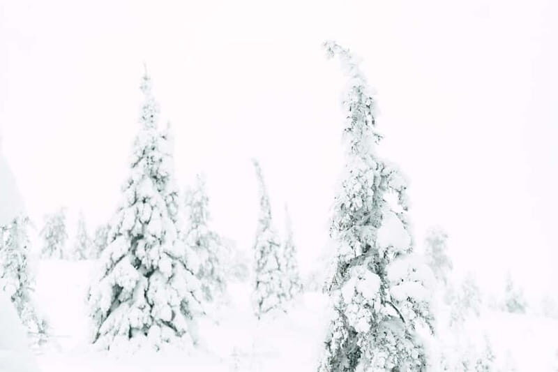 From Rovaniemi: Frozen Wonderland Riisitunturi Winter Hike - Who Might Not Find This Tour Ideal?