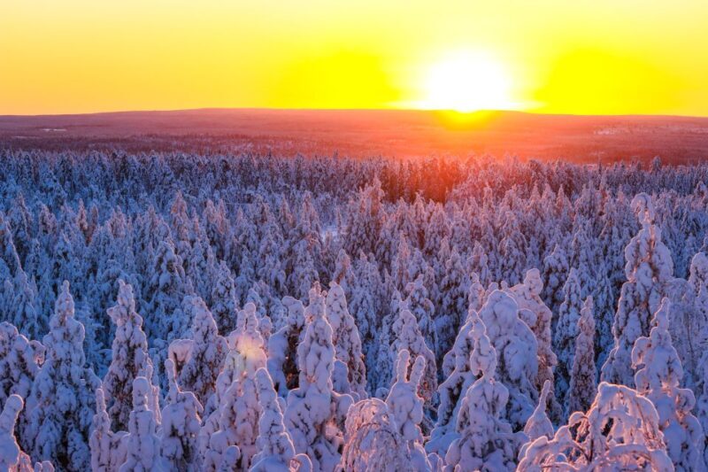 From Rovaniemi: Guided Lapland Snowmobile Adventure - Key Points