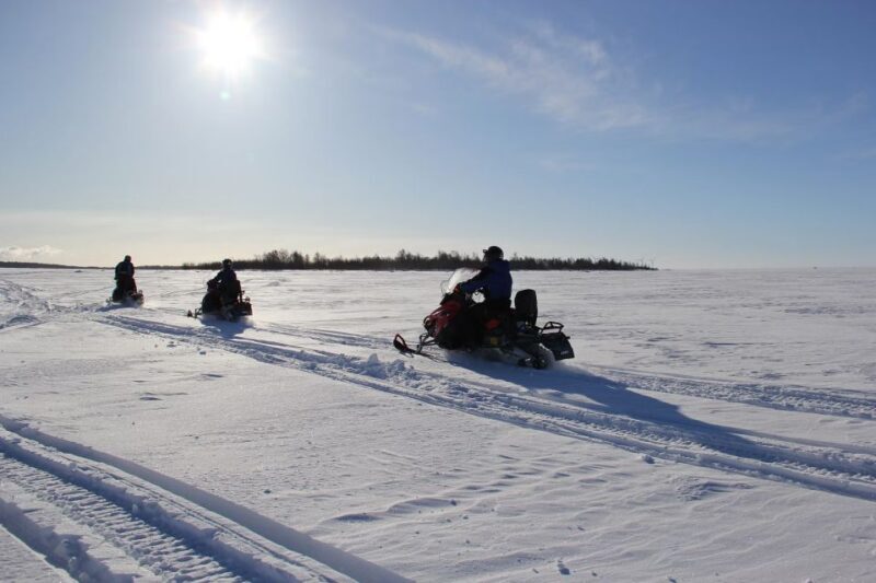From Rovaniemi: Guided Lapland Snowmobile Adventure - The Sum Up