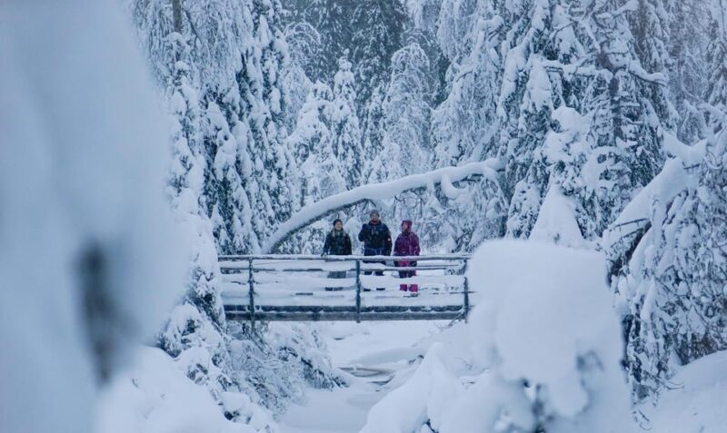 From Rovaniemi: Korouoma Canyon and Frozen Waterfalls Tour - FAQ