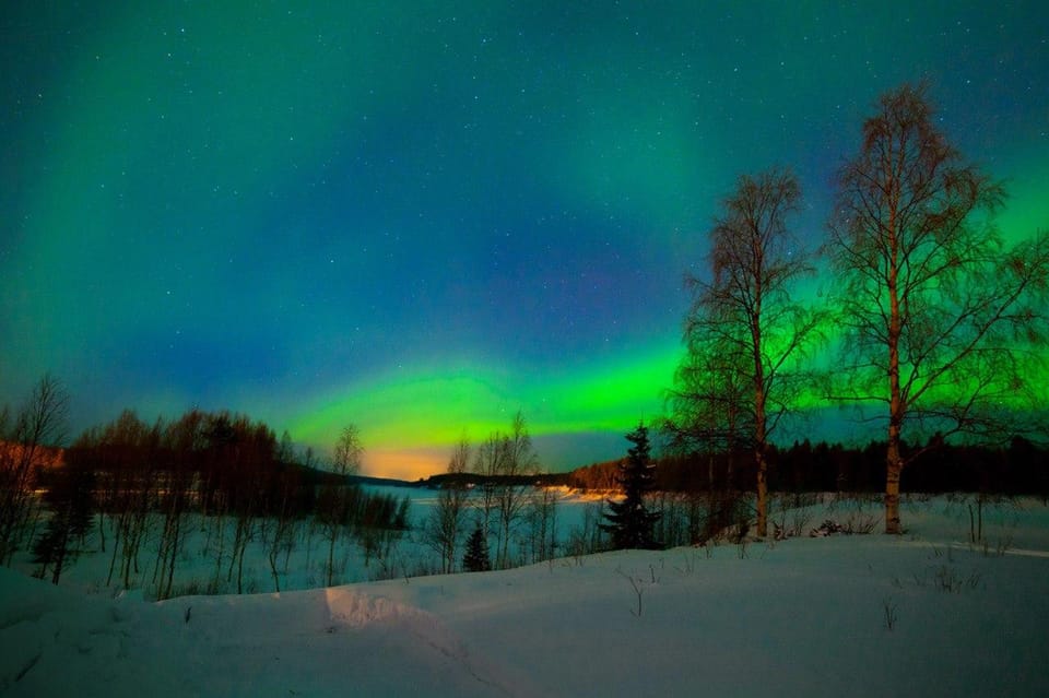 From Rovaniemi: Night Tour in Search of the Aurora with BBQ - Value for Money