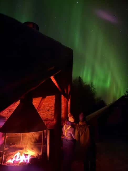 From Rovaniemi: Northern Lights Hunt by Minibus - Key Points
