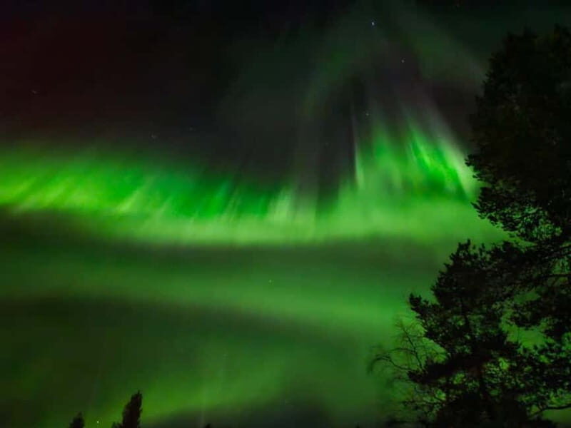 From Rovaniemi: Northern Lights Tour - From Rovaniemi: Northern Lights Tour — A Practical Guide to Lapland’s Nighttime Magic