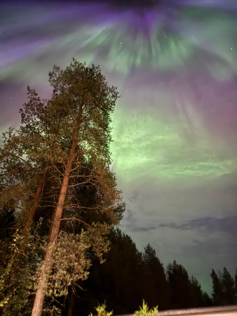 From Rovaniemi: Northern Lights Tour with Campfire Snacks - A Practical Look at the Tour Experience