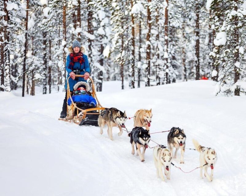 From Rovaniemi: Private Tour to Santa Claus Village - Who Should Consider This Tour?
