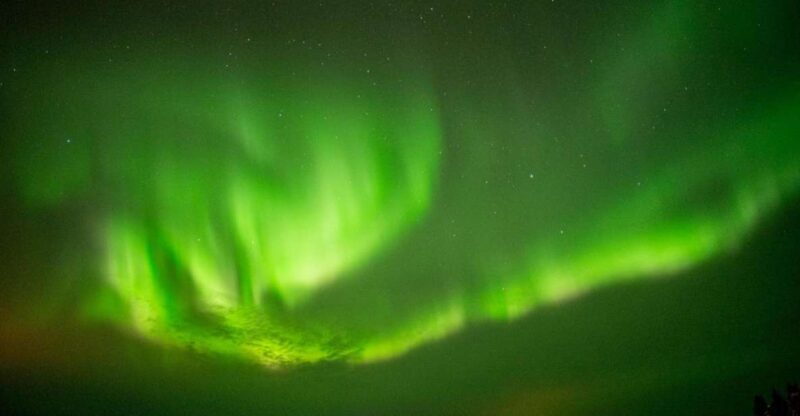 From Rovaniemi: Short Aurora Borealis Photography Expedition - The Authenticity and Real-World Experience