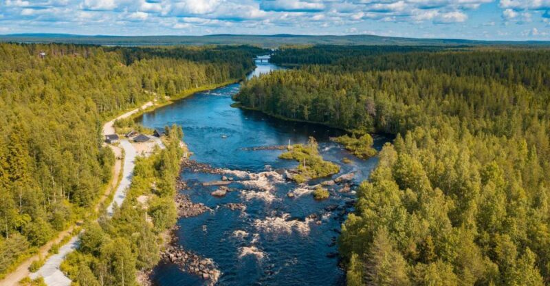 From Rovaniemi: Vikaköngäs Forest Hiking Tour - An Introduction to the Vikaköngäs Forest Hiking Tour