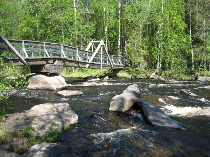 From Rovaniemi: Vikaköngäs Forest Hiking Tour - Why This Tour Stands Out