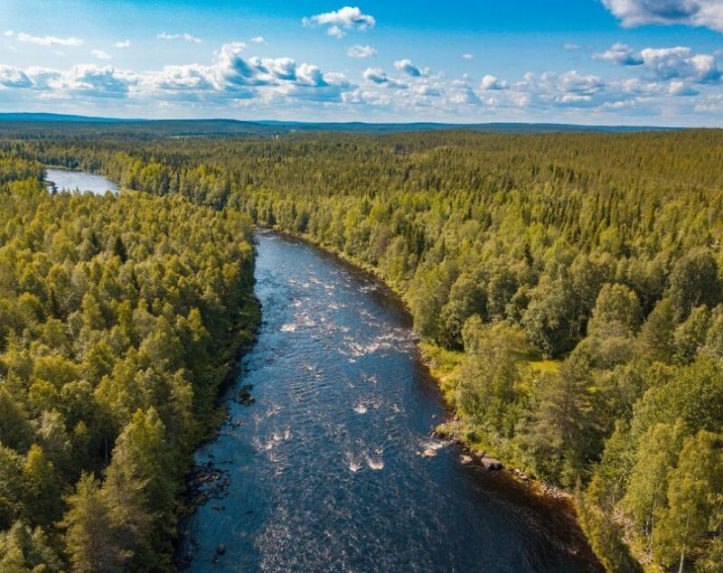 From Rovaniemi: Vikaköngäs Forest Hiking Tour - FAQ