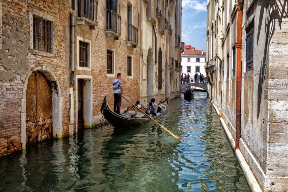 From Rovinj: Venice Boat Trip With Day or One-Way Option - Luggage and Pet Policies