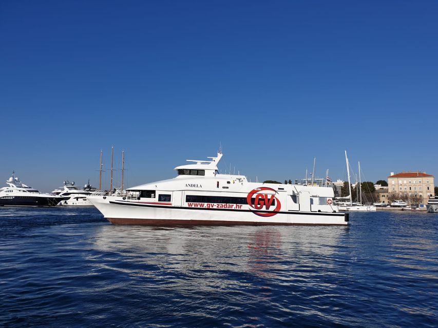From Rovinj: Venice Boat Trip With Day or One-Way Option - Booking and Cancellation Details