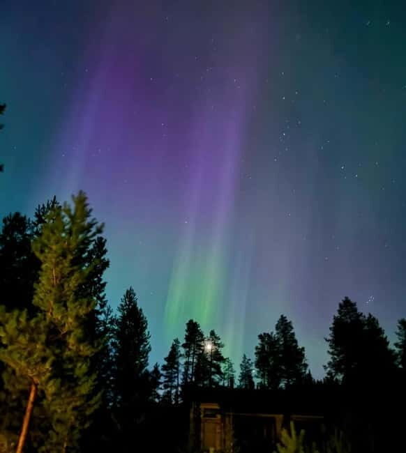 From Ruka: Northern Lights Wilderness Tour with Van - Key Points