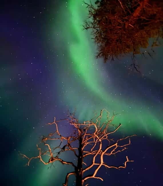 From Ruka: Northern Lights Wilderness Tour with Van - FAQ