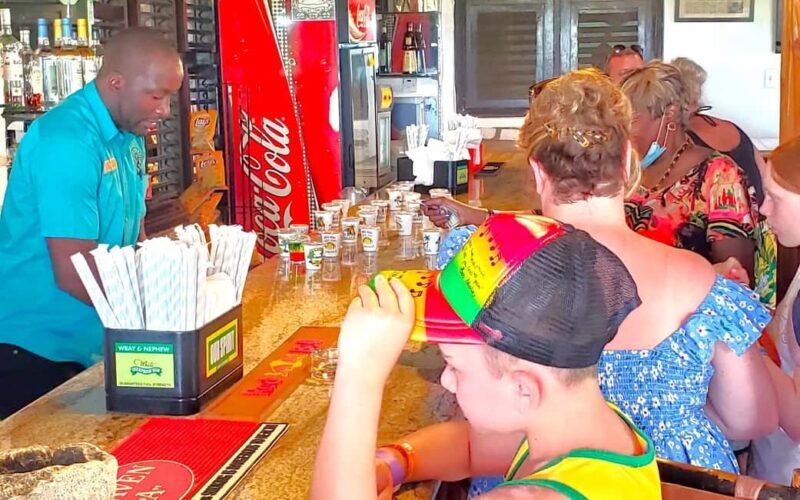 From Runaway Bay: Bob Marley Mausoleum Guided Day Trip - The Scenic Journey and the Local Jerk Experience