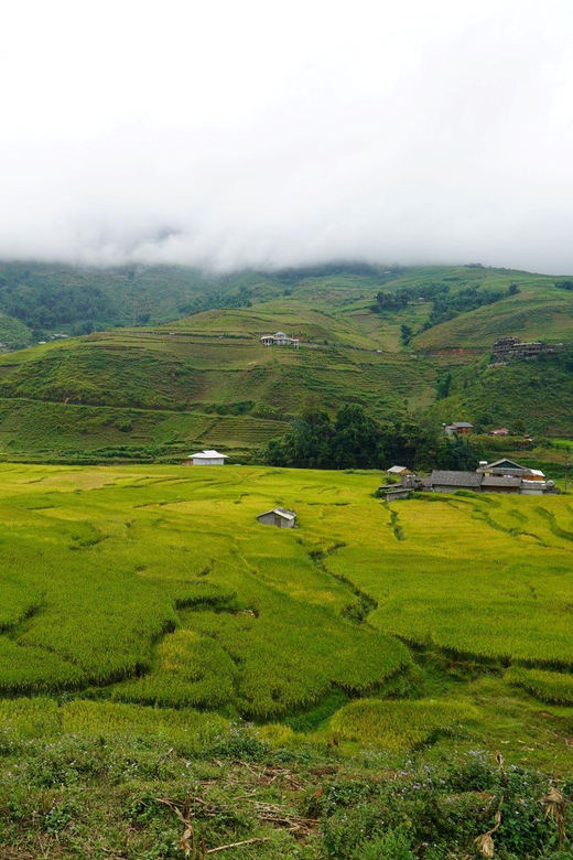 From Sa Pa: Half Day Muong Hoa Valley Trek and Ethnic Tribes - Itinerary Details