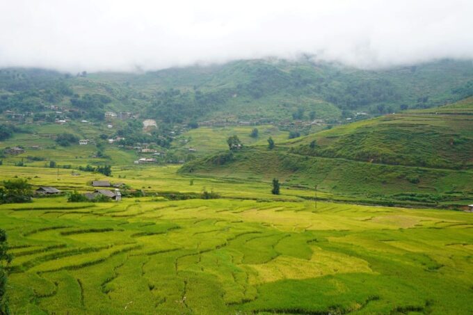 From Sa Pa: Half Day Muong Hoa Valley Trek and Ethnic Tribes - Visiting Ta Van Village