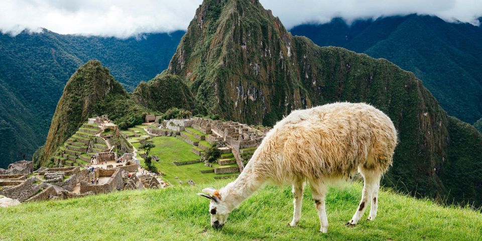 From Sacred Valley: Pisaq and Ollantaytambo + Machu Picchu - Travel Tips and Recommendations