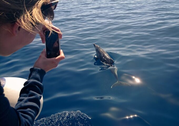 From Safaga: Dolphin Watching Cruise With Lunch and Drinks - Frequently Asked Questions