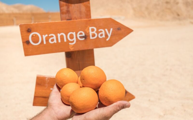 From Safaga: Orange Bay Snorkeling Trip by Boat With Lunch - Detailed Itinerary
