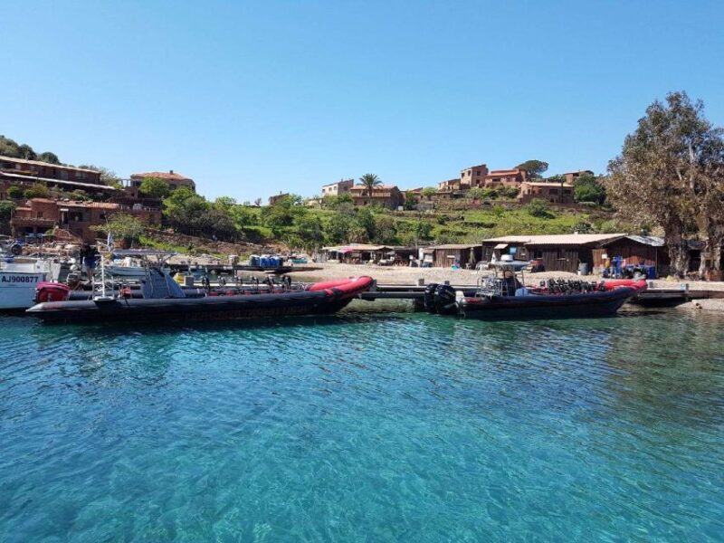 From Sagone/Cargèse: Piana, Scandola, Girolata Boat Tour - Starting Locations and Key Stops