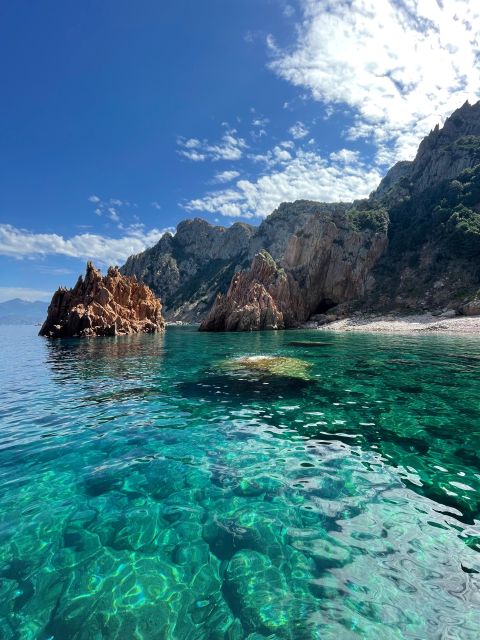 From Sagone/Cargèse: Piana Sea Caves & Snorkeling Boat Tour - Customer Feedback and Ratings
