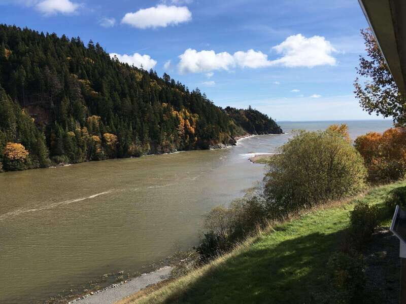 From Saint John: Bay of Fundy Bus Trip for Cruise Passengers - Key Points